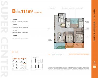 111 3室2厅2卫 111平