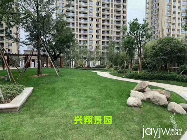 兴翔景园，10500/平！8楼，朝花园出售AAA