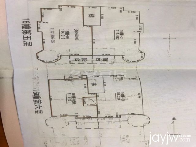 厅